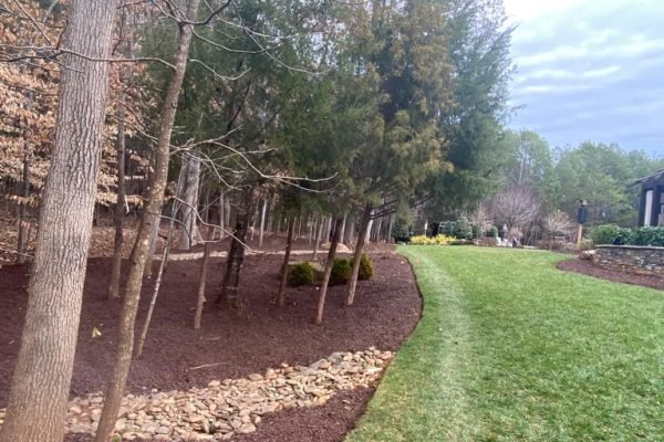 WhatsApp Image 2023-04-17 at 4.43.21 PM (1)